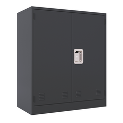 KaerWorld Metal Storage Cabinet,Lockable Storage Cabinets,Steel Storage Locker,Metal Garage Storage Cabinet,Tool Cabinet with Two Doors/Adjustable Shelf Height/DIY Shelfs for Office, Garage, Home (L)