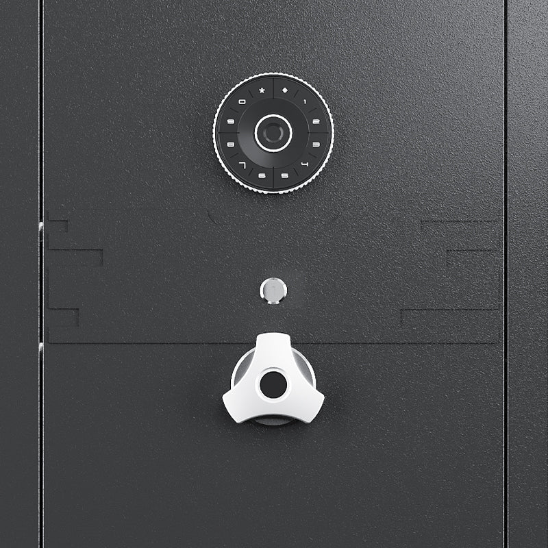 KaerWorld 15-20 Gun Safe [This is just a safe]